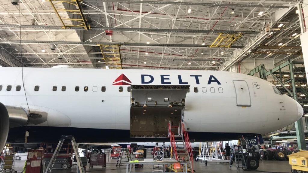 Delta forecasts sales growth in 2025 thanks to 'resilient economy'