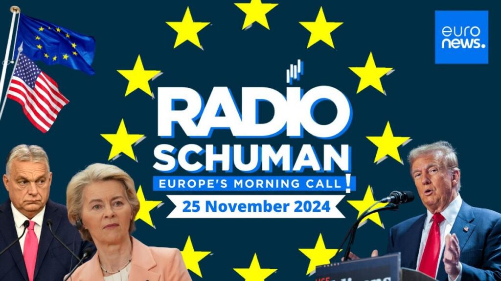 EU has means to counter Trump tariffs, says trade lawmaker | Radio Schuman