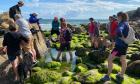 Tide’s out, dinner’s up: why Wales is at the forefront of a seaweed revolution | Wales holidays