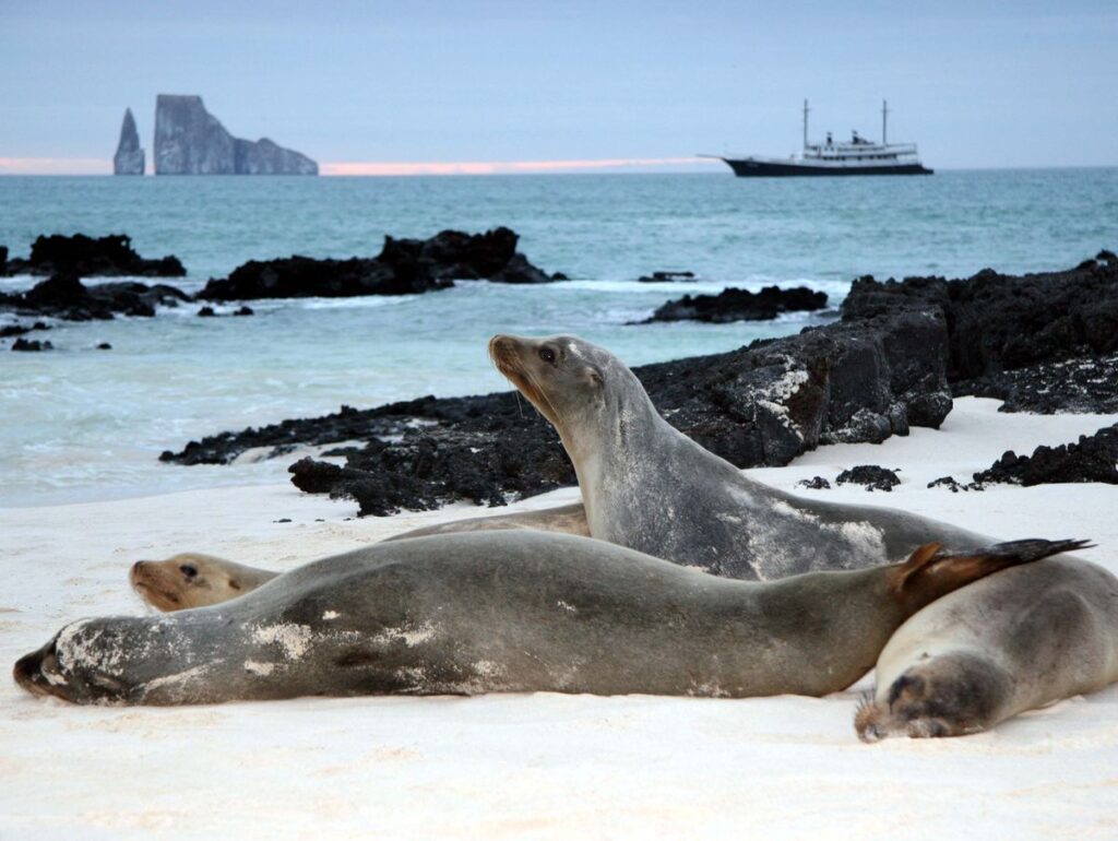 Why There’s Never Been a Better Time to Visit the Galápagos Islands with AdventureSmith Explorations