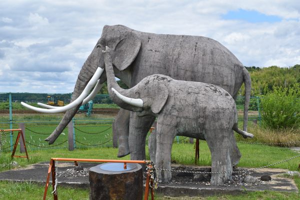 Futago Park – Inzai, Japan