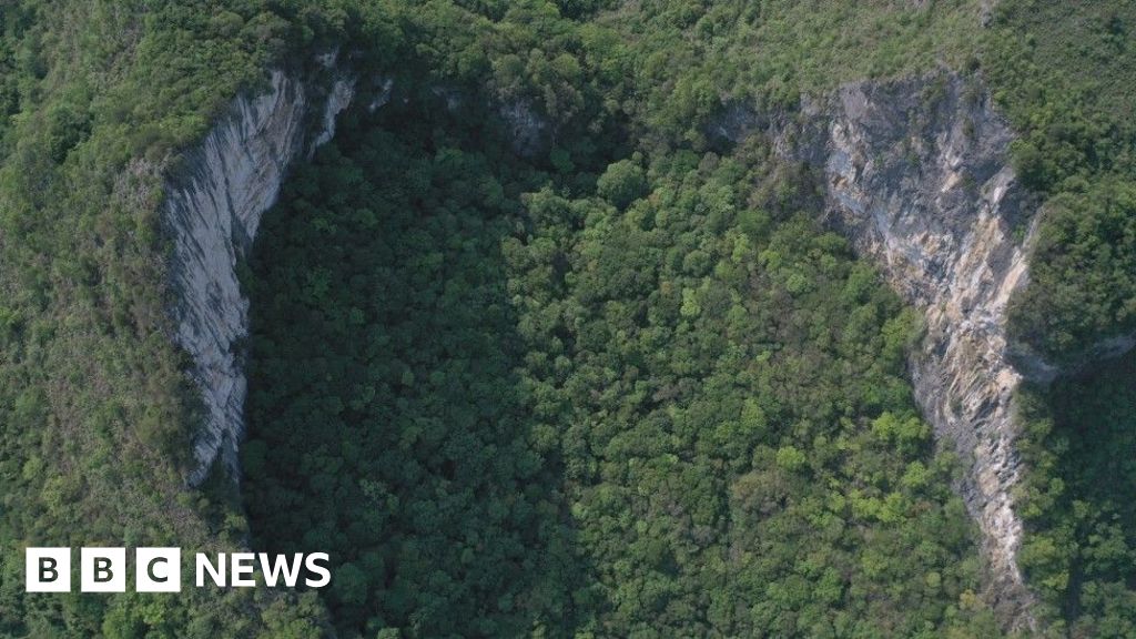 Tourist boom threatens ancient forests