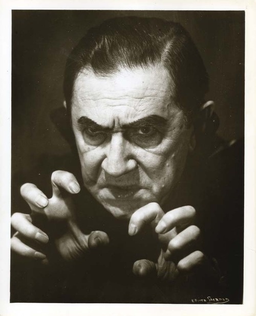 Bela Lugosi and Ed Wood — You Must Remember This