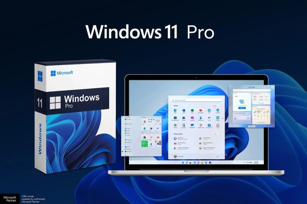 Microsoft Windows 11 Pro