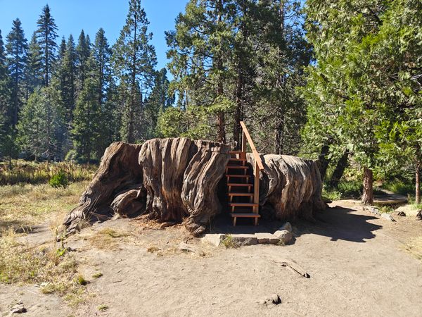 Mark Twain Stump – Tulare County, California