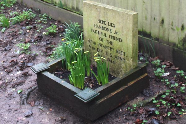 Grave of Hambone Jr. – Alresford, England