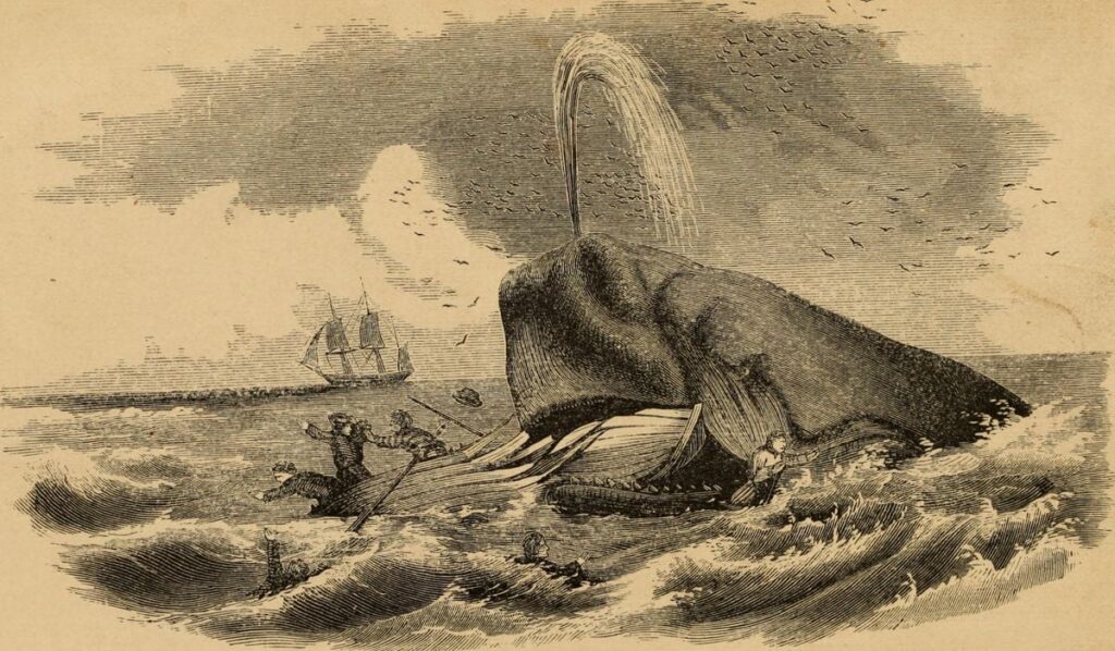 Inside the Terrifying True Story of the Sperm Whale That Sank the Whale-Ship ‘Essex’ and Inspired Herman Melville’s ‘Moby-Dick’