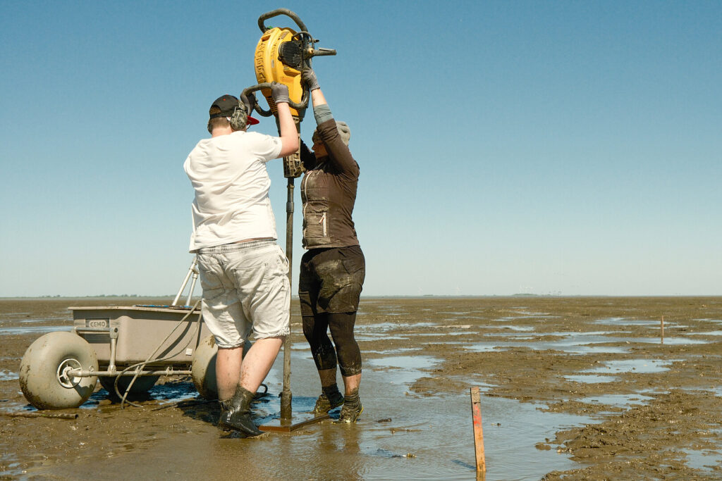 Uncovering Rungholt: Secrets of a Lost Medieval Town in the North Sea