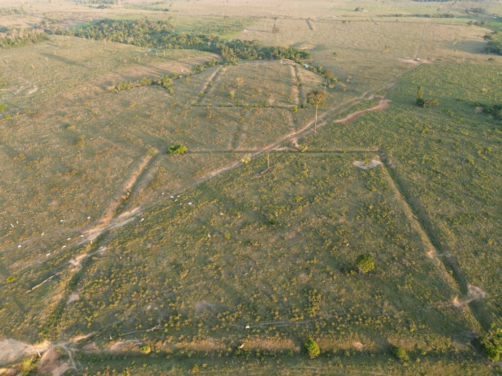 News - Documenting the Geoglyphs of Amazonia