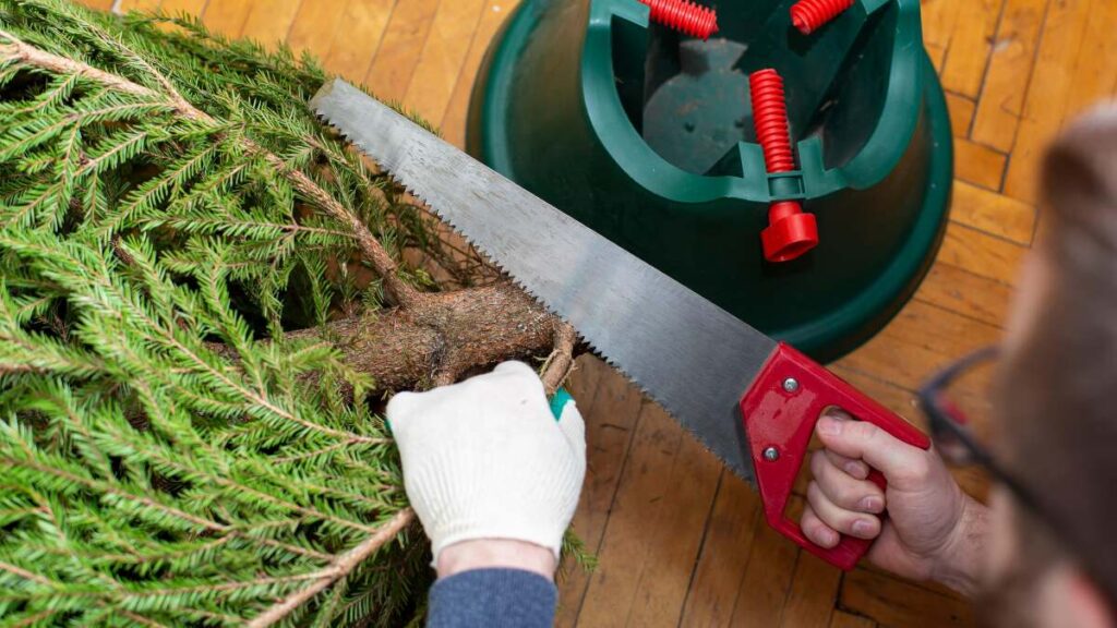 How to Keep Your Christmas Tree Fresh for Longer