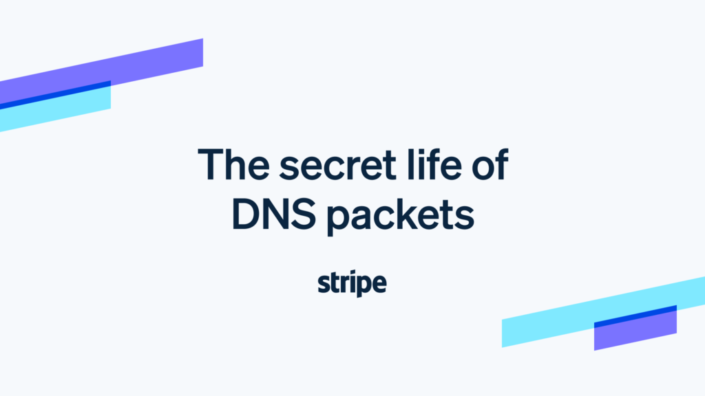 The secret life of DNS packets: investigating complex networks