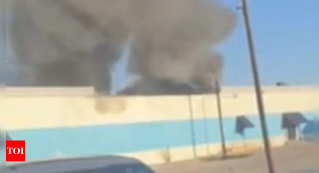 Dallas Shopping Center Fire: Hundreds of animals killed in Dallas shopping center fire