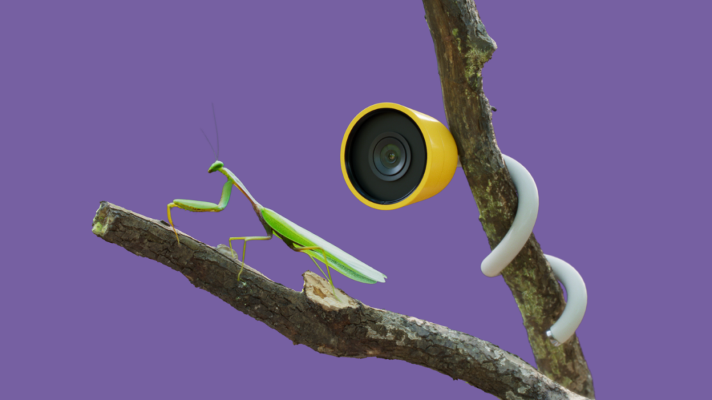 CES 2025: Bird Buddy's New Nature Cam Will Let Your Plants Tell You What Kind of Day They Had