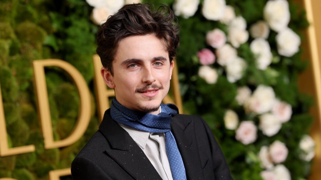 Timothée Chalamet Fined After Riding Bike to A Complete Unknown U.K. Premiere