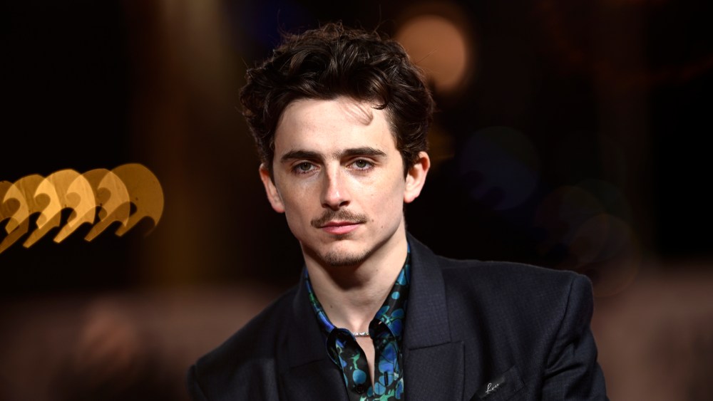 Timothee Chalamet Rode a Bike to 'A Complete Unknown' Premiere, Got Fined