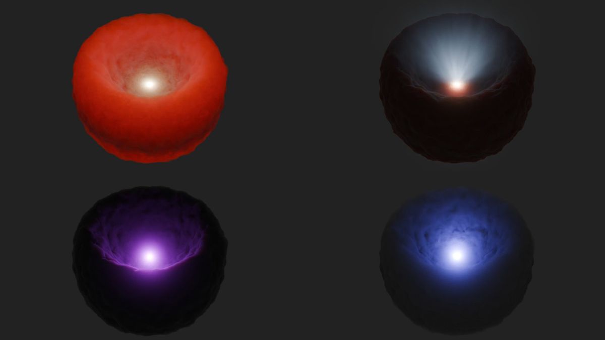 Artist concept of a supermassive black hole surrounded by a torus of gas and dust is depicted in four different wavelengths of light.