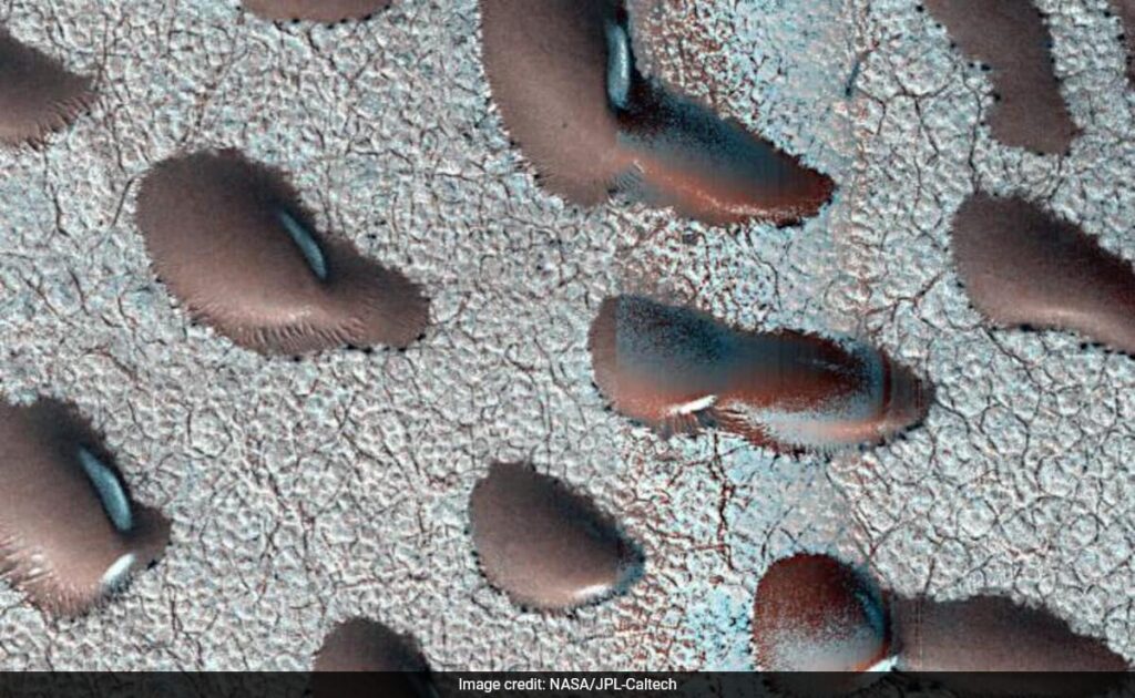 Kidney Bean-Shaped Sand Dunes Spotted On Mars Could Hold Clues To Life