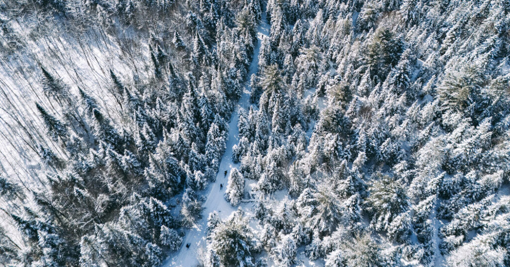 Snowy Trails, Cozy Inns: Skiing Town to Town in Quebec