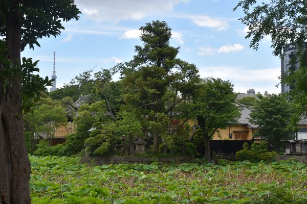 Shoden Island - Atlas Obscura