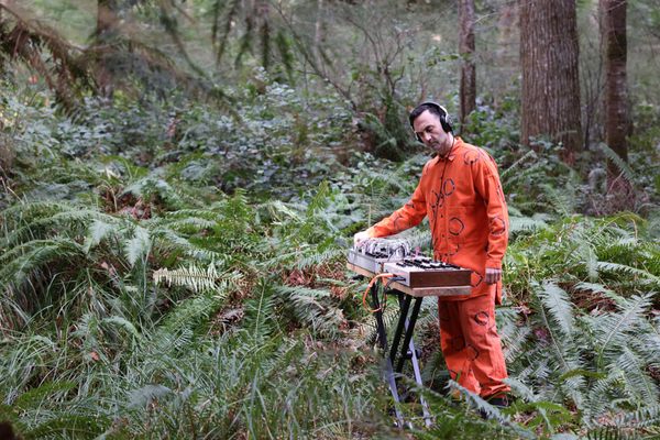 The Man Who Finds Melodies Inside Mushrooms