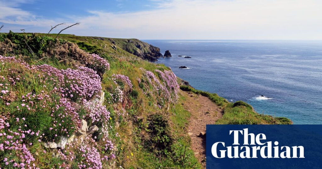 ‘Spring sings with birdlife and wildflowers’: readers’ favourite UK trips of the season | United Kingdom holidays