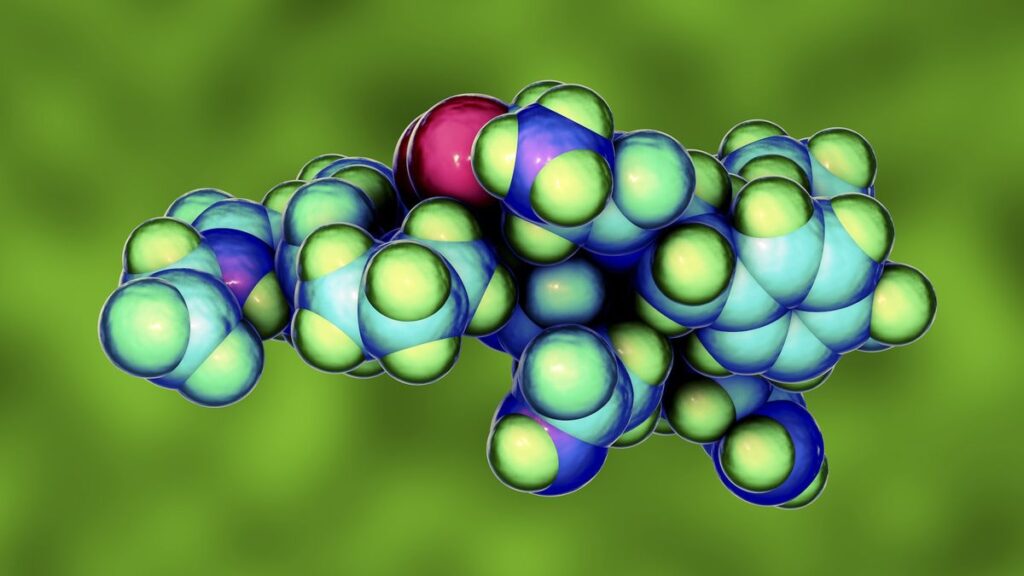 An artist's rendering of an oxytocin molecule