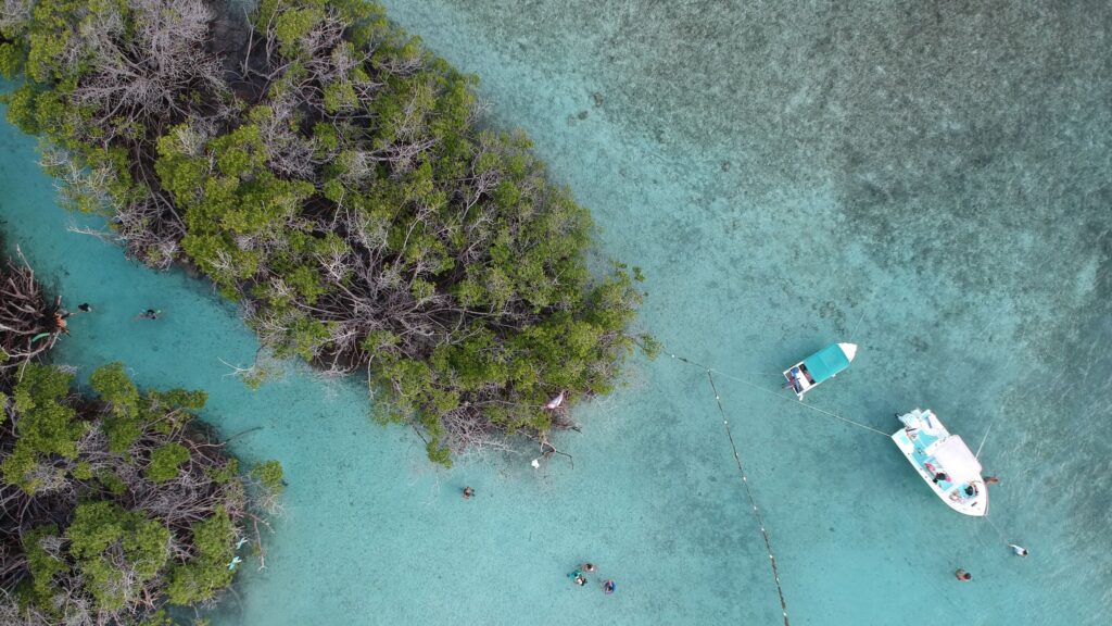 The Best Beaches in Puerto Rico