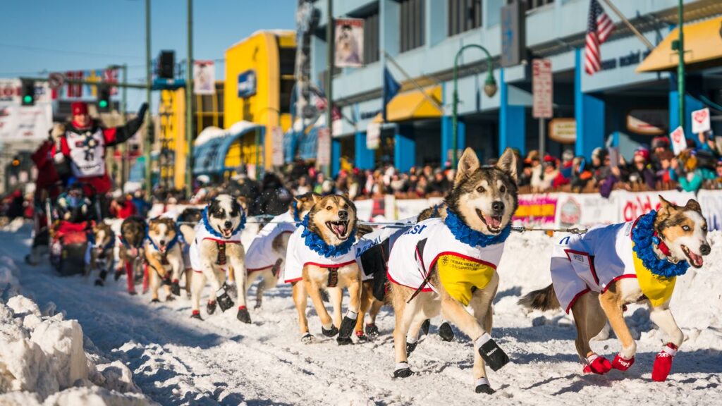 Chasing the Iditarod Through the Wilds of Alaska