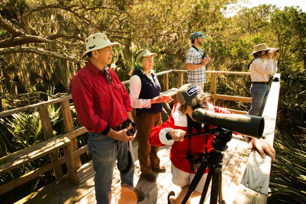 Little St. Simons Island in Georgia Offers Surf Fishing, Dolphin Kayak Tours, and 7 miles of Undeveloped Beaches