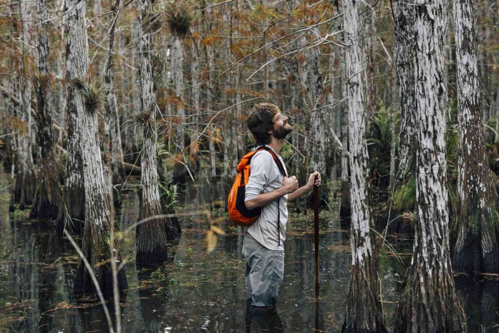 The Everglades Is One of America's Most Overlooked National Parks—Why You Should Visit