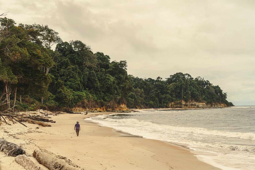 Gabon Is Africa's Next Must-visit Safari Destination