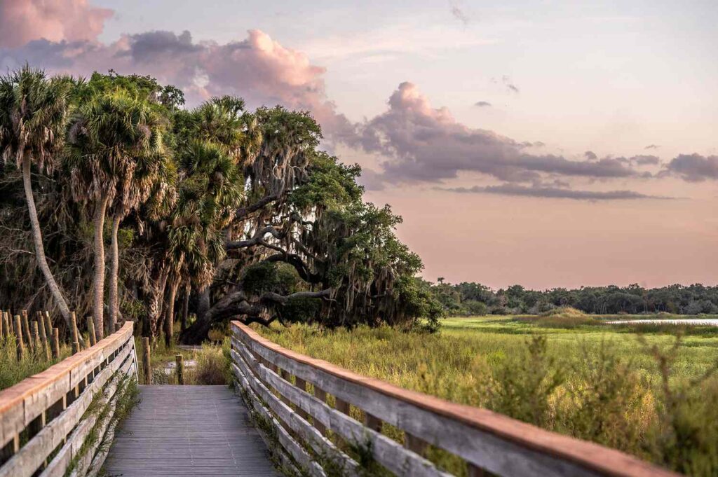 Myakka River State Park Is a Hidden Gem in Florida