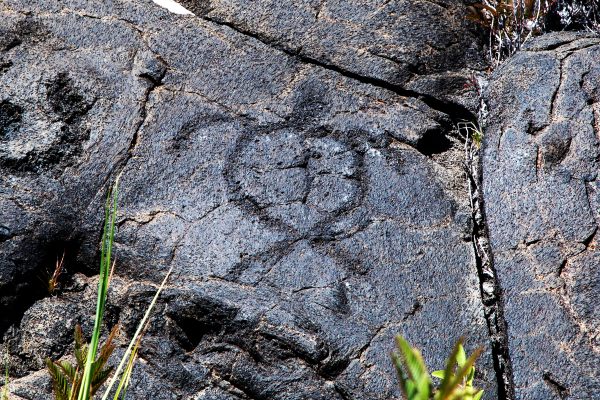 Puʻuloa Petroglyphs - Atlas Obscura