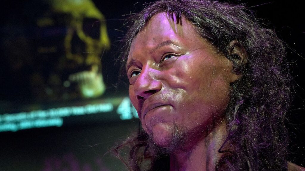 a reconstruction of a man with dark skin, eyes and hair