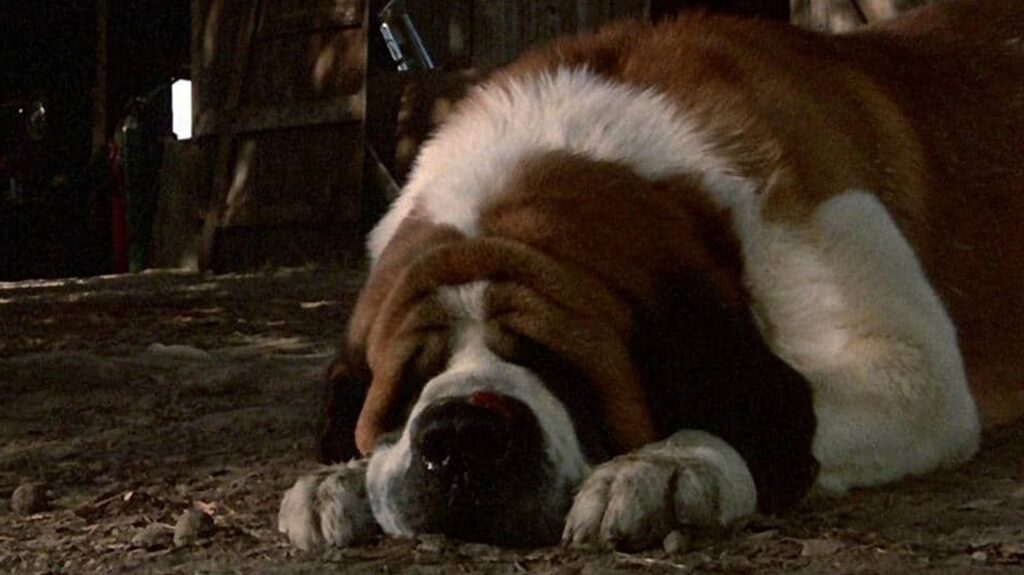 Stephen King's Cujo Getting Second Adaptation At Netflix