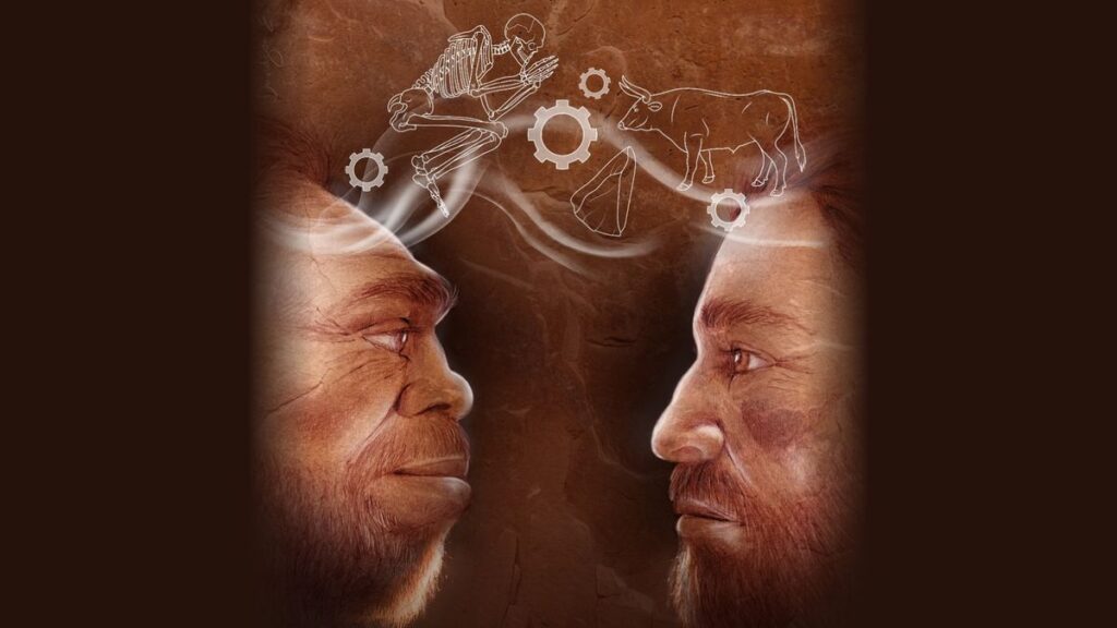 An illustration of a human and neanderthal facing each other