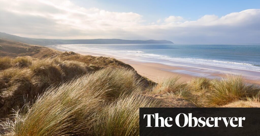 ‘An epic expanse of golden sand’: the sweeping appeal of North Devon | Travel