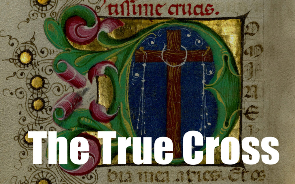 Can We Build a Forest from It or Not? Investigating the Relics of the True Cross