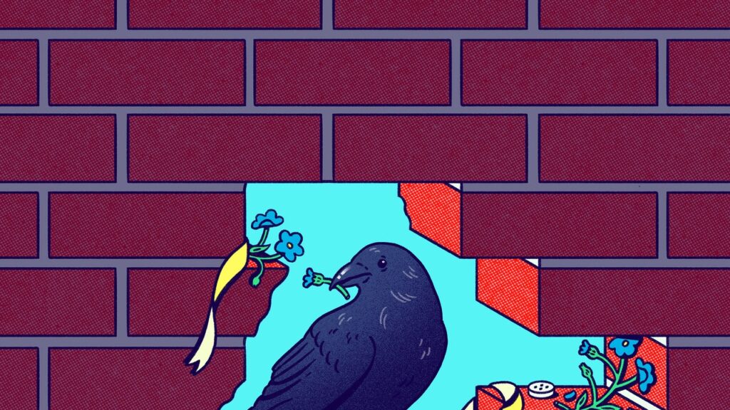 What Can We Learn from Broken Things?