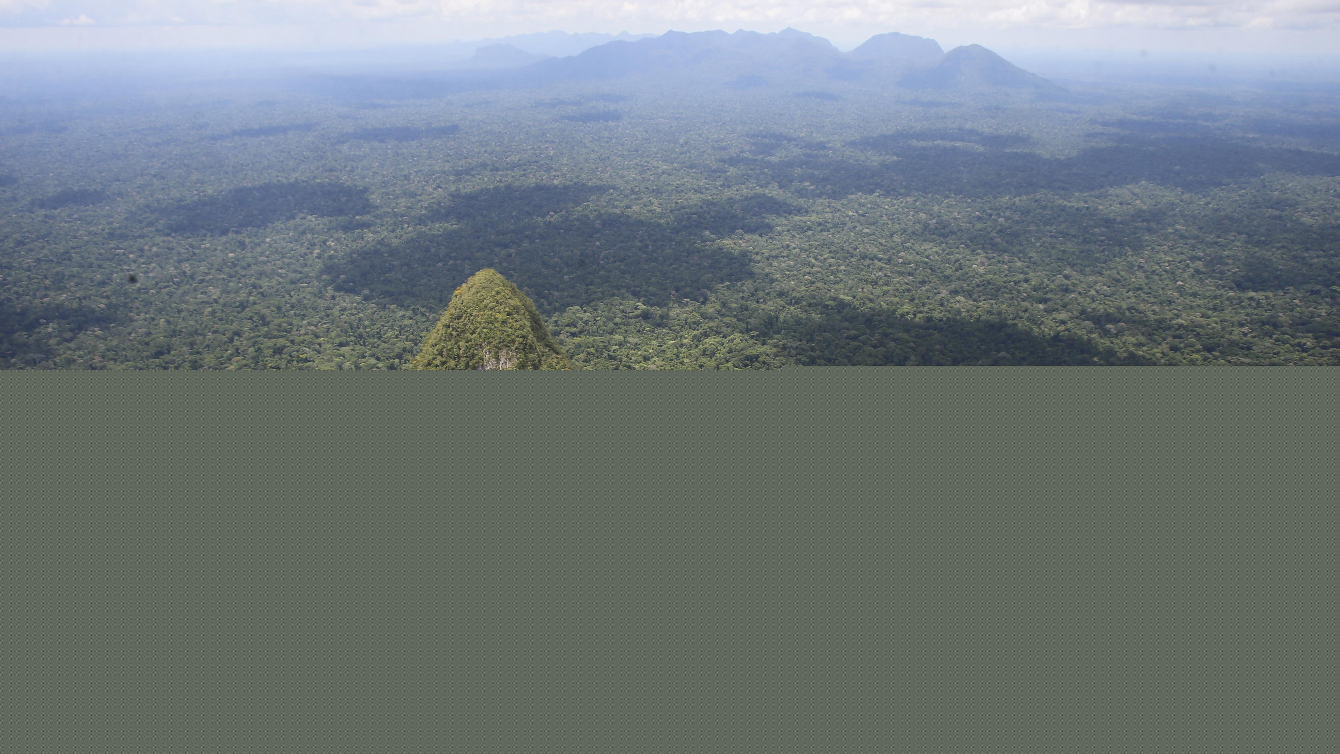 Aerial view of Cerro El Cono in the Peruvian Amazon rainforest. There are mountains in the background.