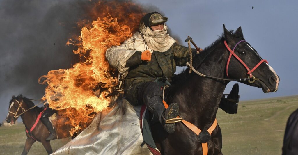 Photos of the Week: Cow Cuddling, Lava Flow, Fishermen’s Joust