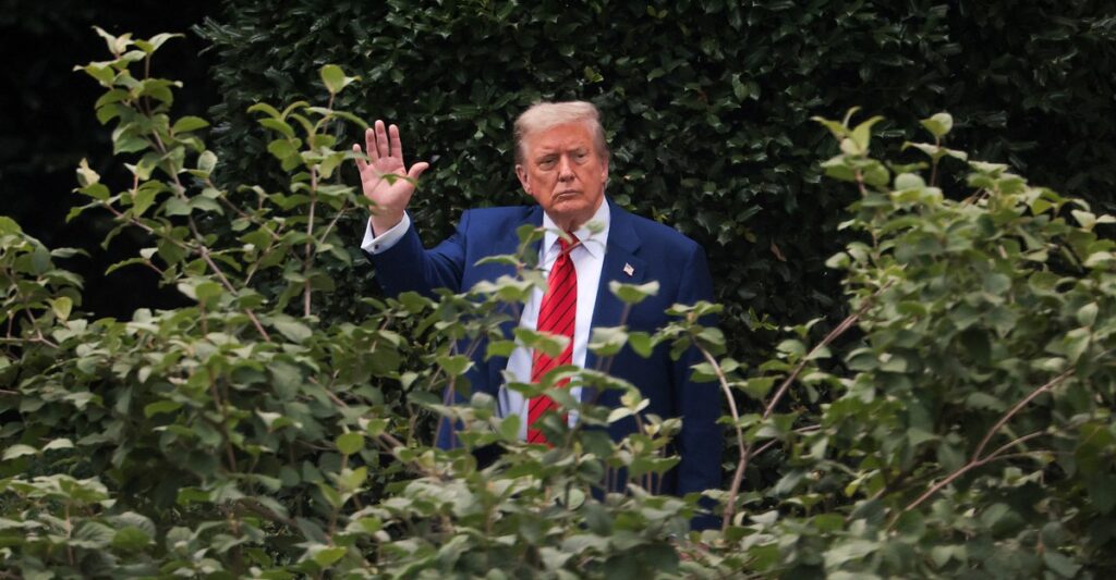 How I Came to Be in the Epstein Files